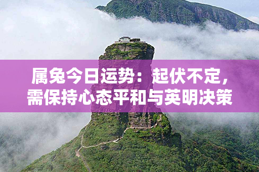 属兔今日运势：起伏不定，需保持心态平和与英明决策