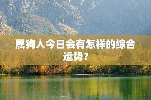 属狗人今日会有怎样的综合运势？