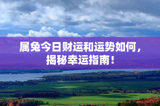 属兔今日财运和运势如何，揭秘幸运指南！