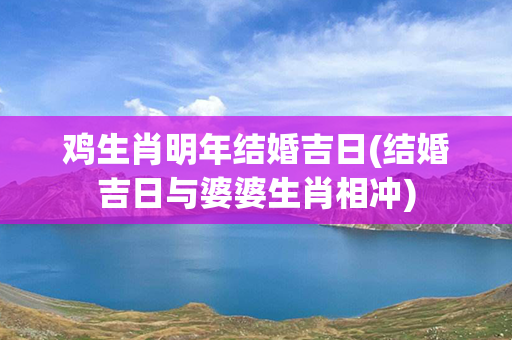 鸡生肖明年结婚吉日(结婚吉日与婆婆生肖相冲)