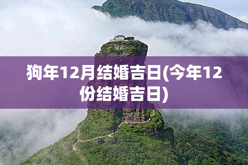 狗年12月结婚吉日(今年12份结婚吉日)