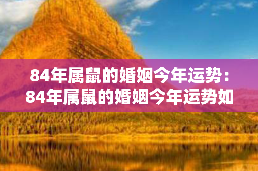 84年属鼠的婚姻今年运势：84年属鼠的婚姻今年运势如何 