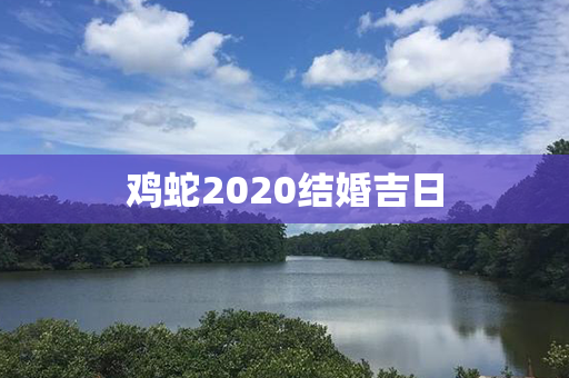 鸡蛇2020结婚吉日