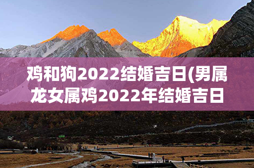 鸡和狗2022结婚吉日(男属龙女属鸡2022年结婚吉日)