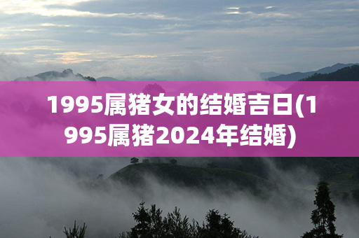 1995属猪女的结婚吉日(1995属猪2024年结婚)