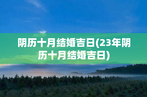 阴历十月结婚吉日(23年阴历十月结婚吉日)