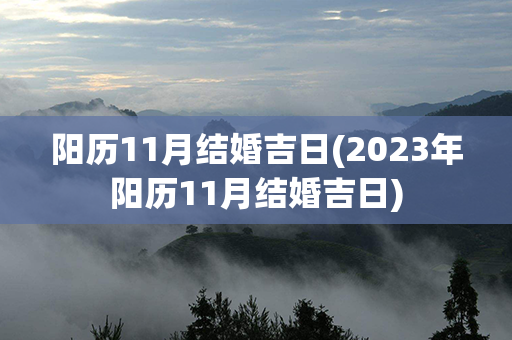 阳历11月结婚吉日(2023年阳历11月结婚吉日)