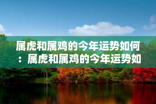 属虎和属鸡的今年运势如何：属虎和属鸡的今年运势如何呢 