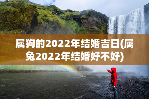 属狗的2022年结婚吉日(属兔2022年结婚好不好)