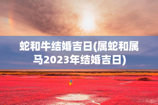 蛇和牛结婚吉日(属蛇和属马2023年结婚吉日)