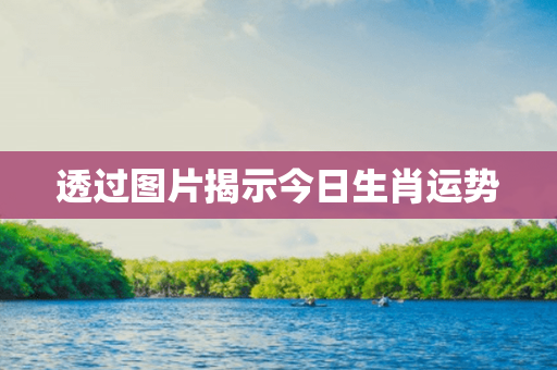 透过图片揭示今日生肖运势