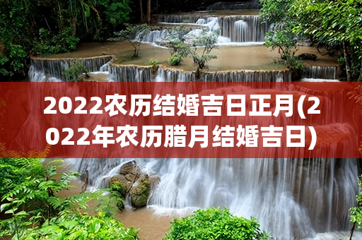 2022农历结婚吉日正月(2022年农历腊月结婚吉日)