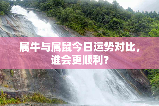 属牛与属鼠今日运势对比，谁会更顺利？