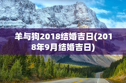 羊与狗2018结婚吉日(2018年9月结婚吉日)