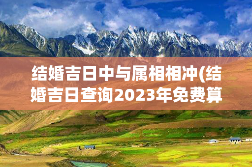 结婚吉日中与属相相冲(结婚吉日查询2023年免费算)