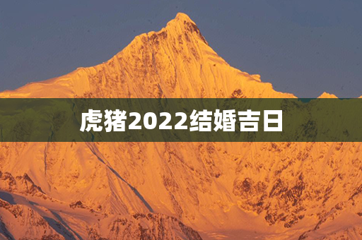 虎猪2022结婚吉日