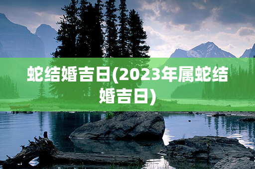 蛇结婚吉日(2023年属蛇结婚吉日)