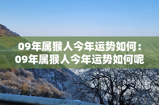 09年属猴人今年运势如何：09年属猴人今年运势如何呢 