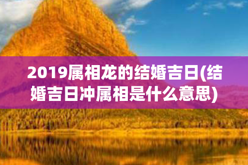 2019属相龙的结婚吉日(结婚吉日冲属相是什么意思)