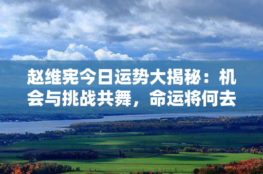 赵维宪今日运势大揭秘：机会与挑战共舞，命运将何去何从？