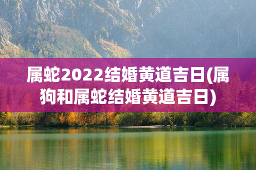 属蛇2022结婚黄道吉日(属狗和属蛇结婚黄道吉日)