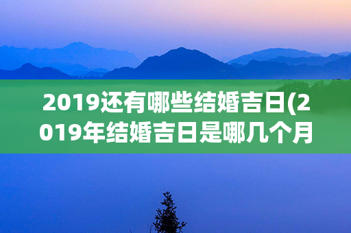 2019还有哪些结婚吉日(2019年结婚吉日是哪几个月)