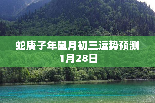 蛇庚子年鼠月初三运势预测1月28日