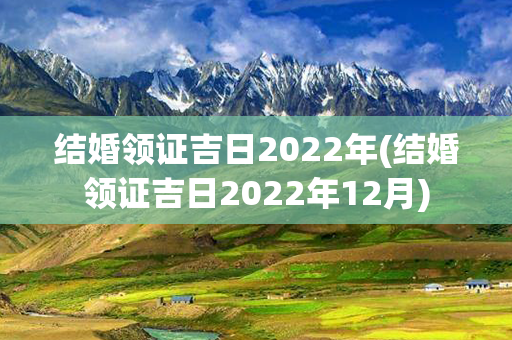 结婚领证吉日2022年(结婚领证吉日2022年12月)