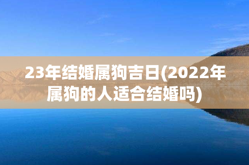 23年结婚属狗吉日(2022年属狗的人适合结婚吗)