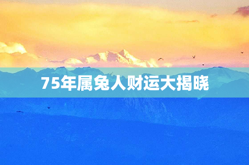 75年属兔人财运大揭晓