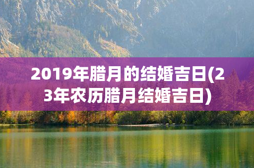 2019年腊月的结婚吉日(23年农历腊月结婚吉日)