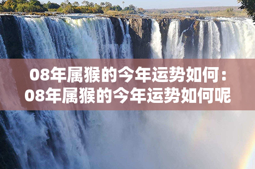 08年属猴的今年运势如何：08年属猴的今年运势如何呢 