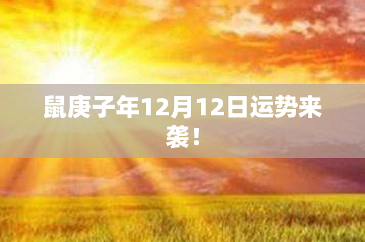 鼠庚子年12月12日运势来袭！