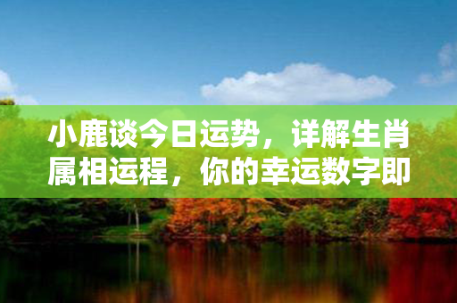 小鹿谈今日运势，详解生肖属相运程，你的幸运数字即将到来！