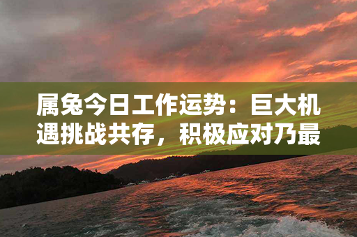 属兔今日工作运势：巨大机遇挑战共存，积极应对乃最佳选择