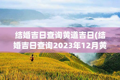 结婚吉日查询黄道吉日(结婚吉日查询2023年12月黄道吉日)