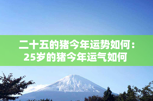 二十五的猪今年运势如何：25岁的猪今年运气如何 