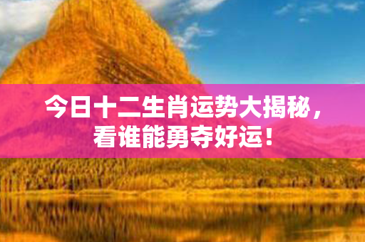 今日十二生肖运势大揭秘，看谁能勇夺好运！