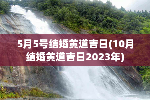 5月5号结婚黄道吉日(10月结婚黄道吉日2023年)