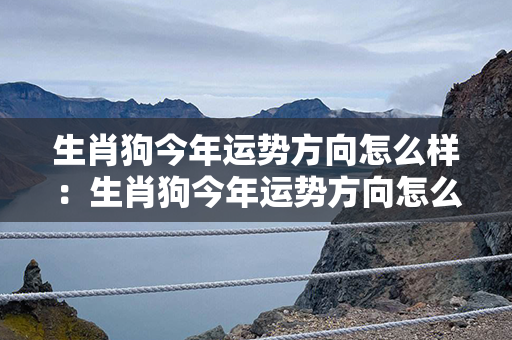 生肖狗今年运势方向怎么样：生肖狗今年运势方向怎么样呢 