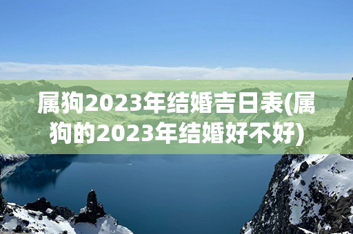 属狗2023年结婚吉日表(属狗的2023年结婚好不好)