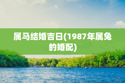 属马结婚吉日(1987年属兔的婚配)