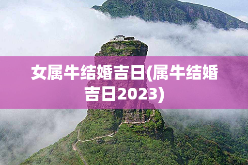 女属牛结婚吉日(属牛结婚吉日2023)