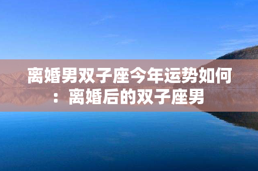 离婚男双子座今年运势如何：离婚后的双子座男 