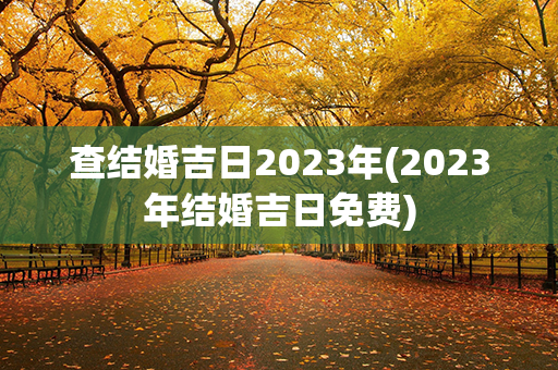 查结婚吉日2023年(2023年结婚吉日免费)