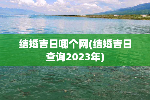 结婚吉日哪个网(结婚吉日查询2023年)