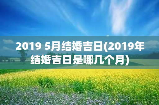 2019 5月结婚吉日(2019年结婚吉日是哪几个月)