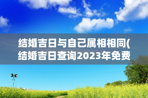 结婚吉日与自己属相相同(结婚吉日查询2023年免费算)