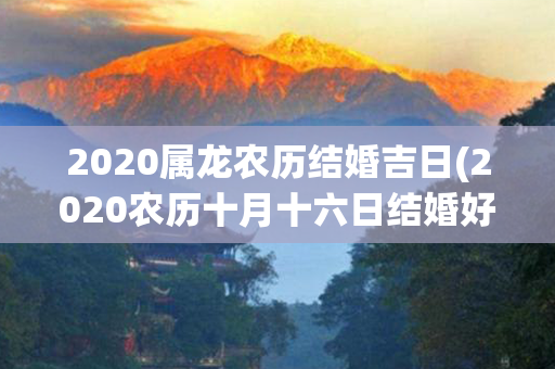 2020属龙农历结婚吉日(2020农历十月十六日结婚好吗)