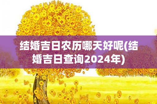 结婚吉日农历哪天好呢(结婚吉日查询2024年)